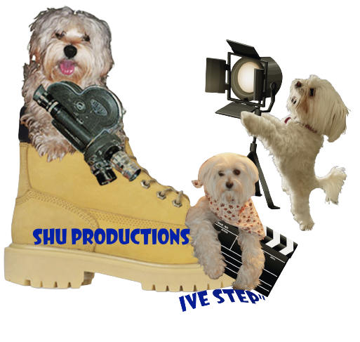 Shu Productions